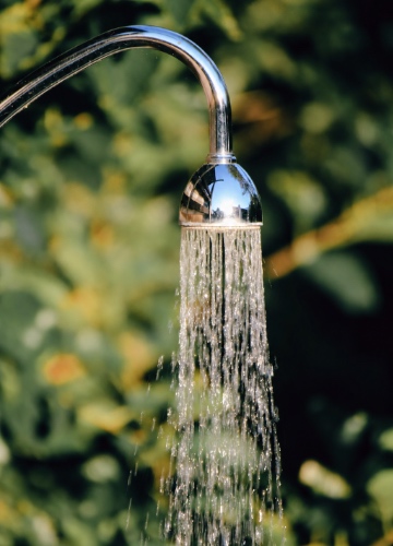 Hard Water Showerhead Close-up