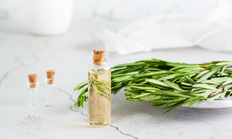 Sulfate Free Shampoo Guide Main Image